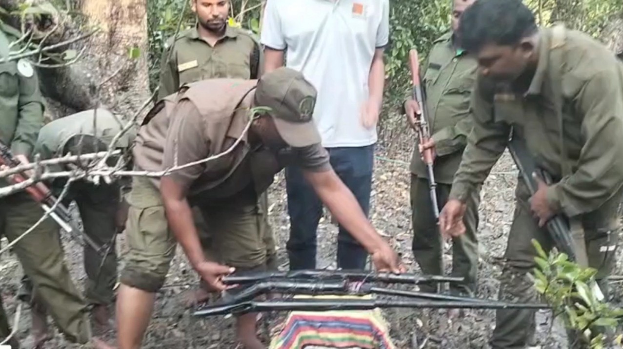 সুন্দরবনে বনদস্যুদের সঙ্গে বনরক্ষীদের গোলাগুলি