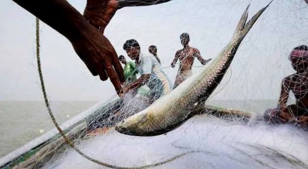 ১৫ এপ্রিল থেকে সাগরে মাছ ধরায় ৫৮ দিনের নিষেধাজ্ঞা