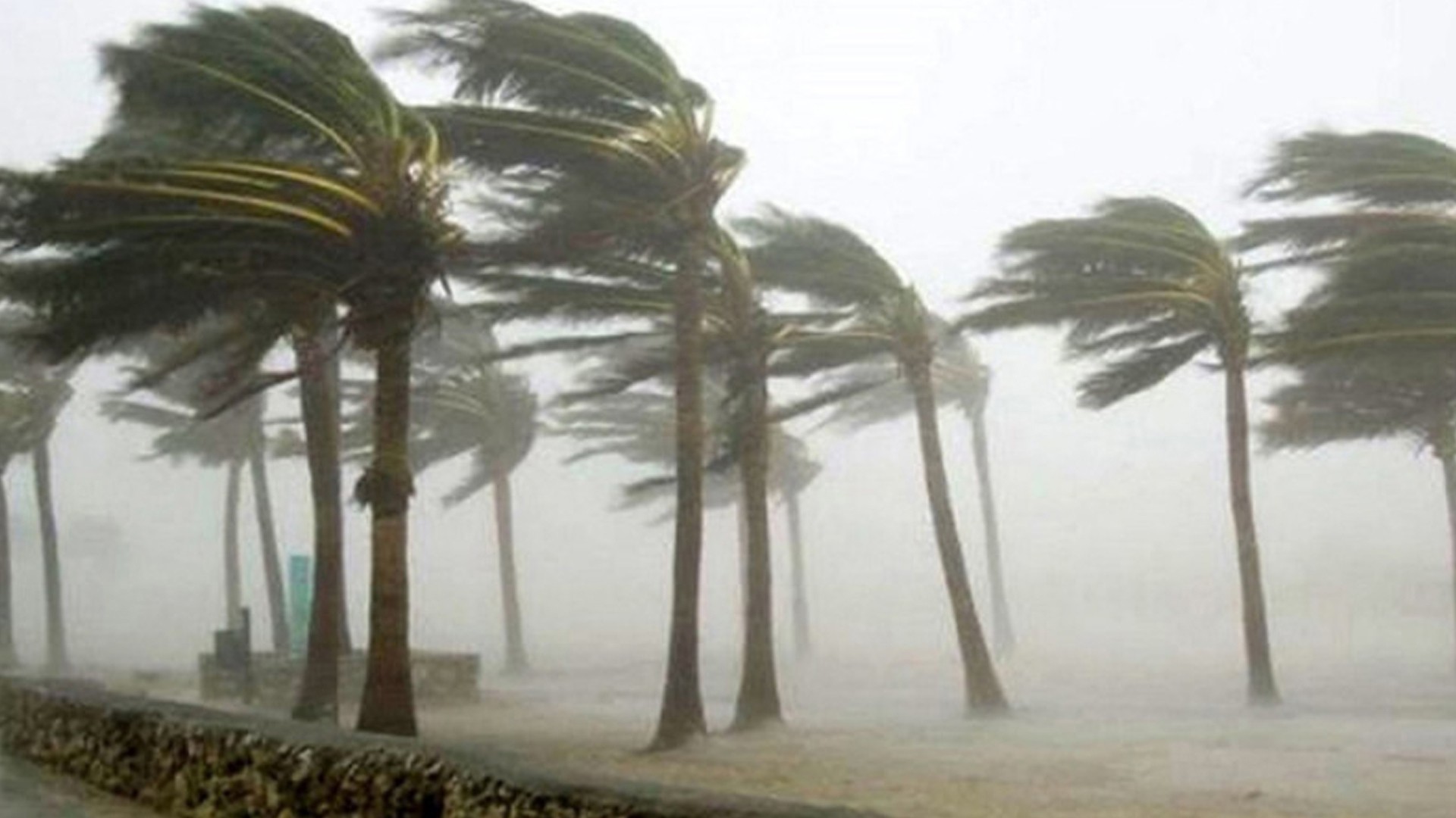 রাতে ১৫ জেলায় ৬০ কিমি বেগে ঝড় ও বজ্রসহ বৃষ্টির আশঙ্কা