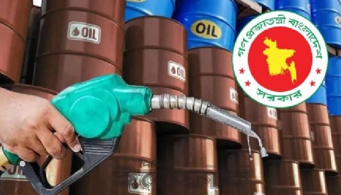 ৫ লাখ টন ডিজেল ও ২ কার্গো এলএনজি আমদানির অনুমোদন সরকারের