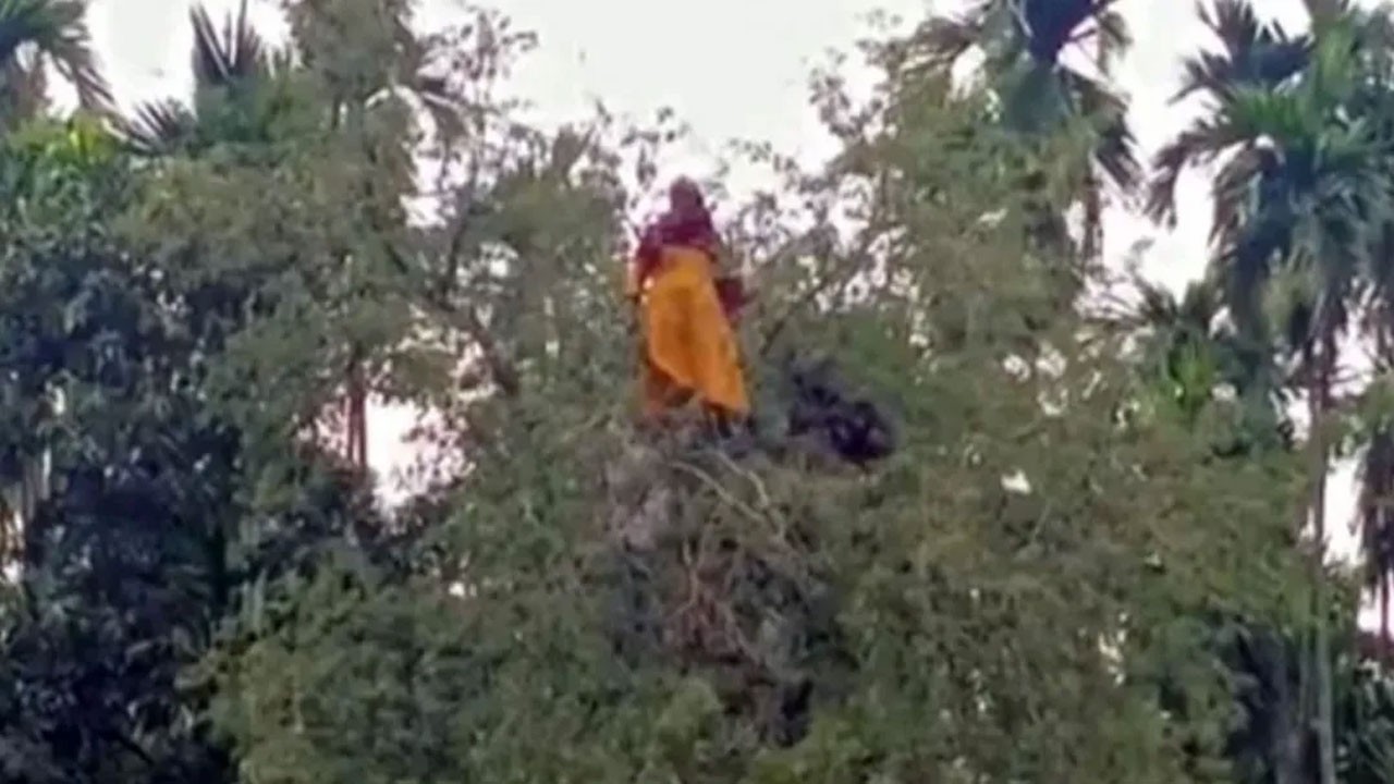 কুড়িগ্রামে নিখোঁজ বৃদ্ধার সন্ধান মিললো তেঁতুল গাছের মগডালে 