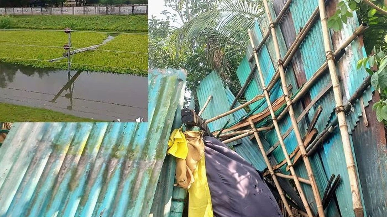 দিনাজপুরের বিরলে বৃষ্টিসহ ঘূর্ণিঝড় কয়েকটি এলাকা লন্ড-ভন্ড