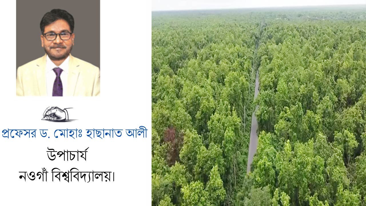 সবুজের অঙ্গীকার নাকি সংখ্যার মায়া: ২৫ কোটি বৃক্ষরোপণে বাংলাদেশের ভবিষ্যৎ সন্ধান