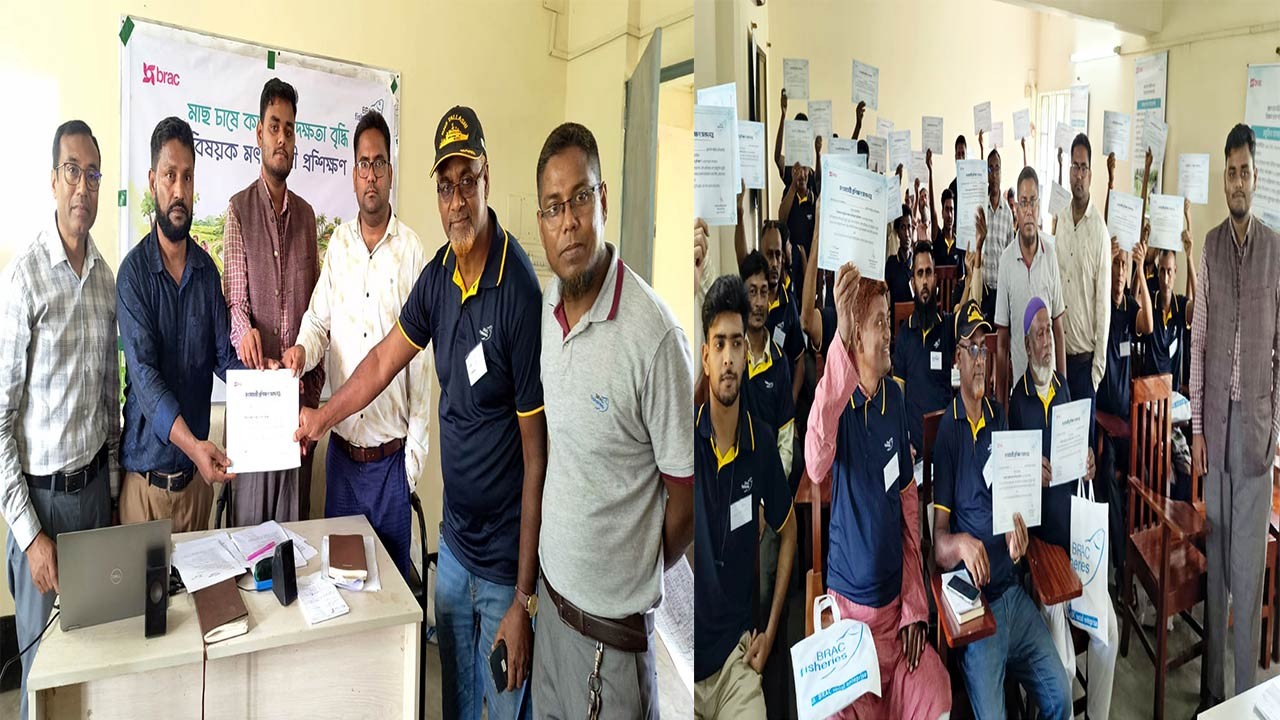 বগুড়ার শেরপুরে মাছ চাষে দক্ষতা বাড়াতে দিনব্যাপী প্রশিক্ষণ কর্মশালা