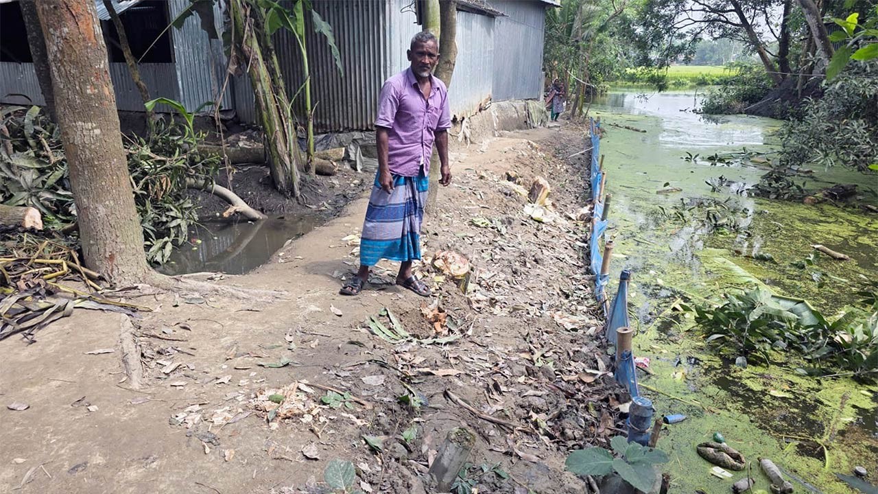 বগুড়ার ধুনটে কৃষকের বাড়ির সীমানা থেকে গাছ কাটার অভিযোগ