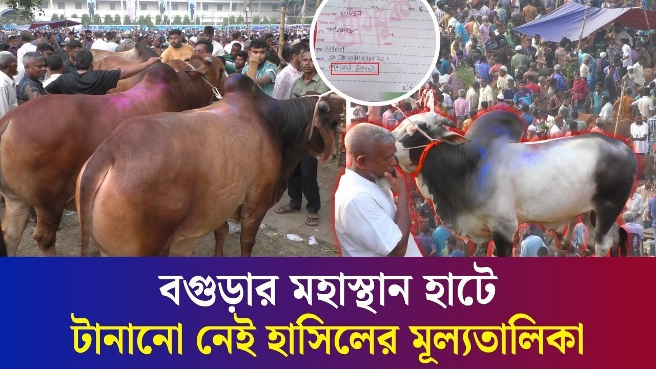 বগুড়ার হাটগুলোতে চলছে হাসিলের নামে চাঁদাবাজি