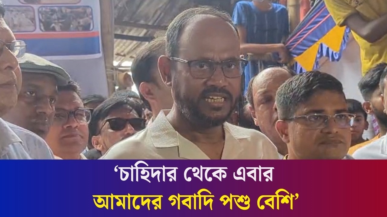 যেন কোনোভাবে পার্শ্ববর্তী দেশের গবাদি পশু না আসতে পারে: প্রাণিসম্পদ প্রতিমন্ত্রী